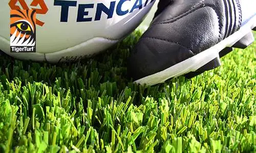 UV tests and toxicology requirements