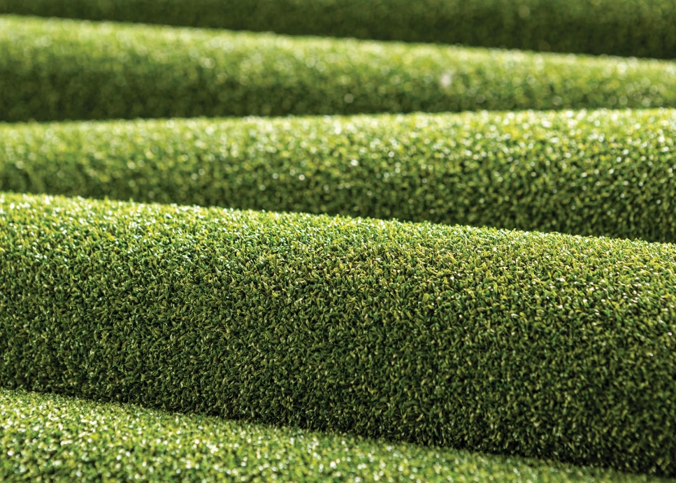 TigerTurf-first-class